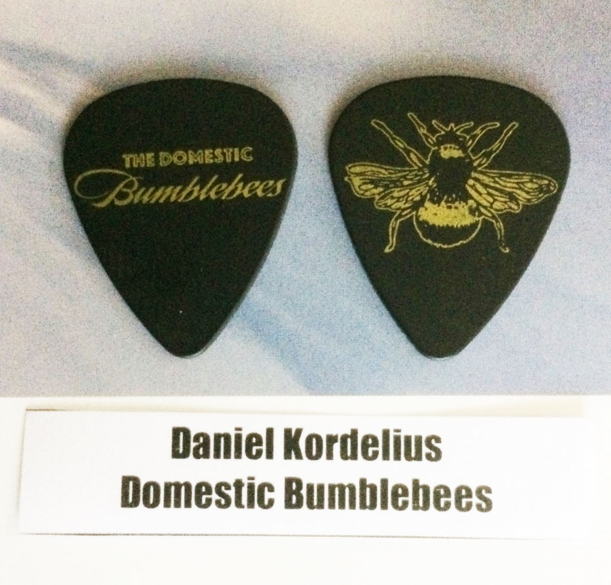 Daniel Kordelius