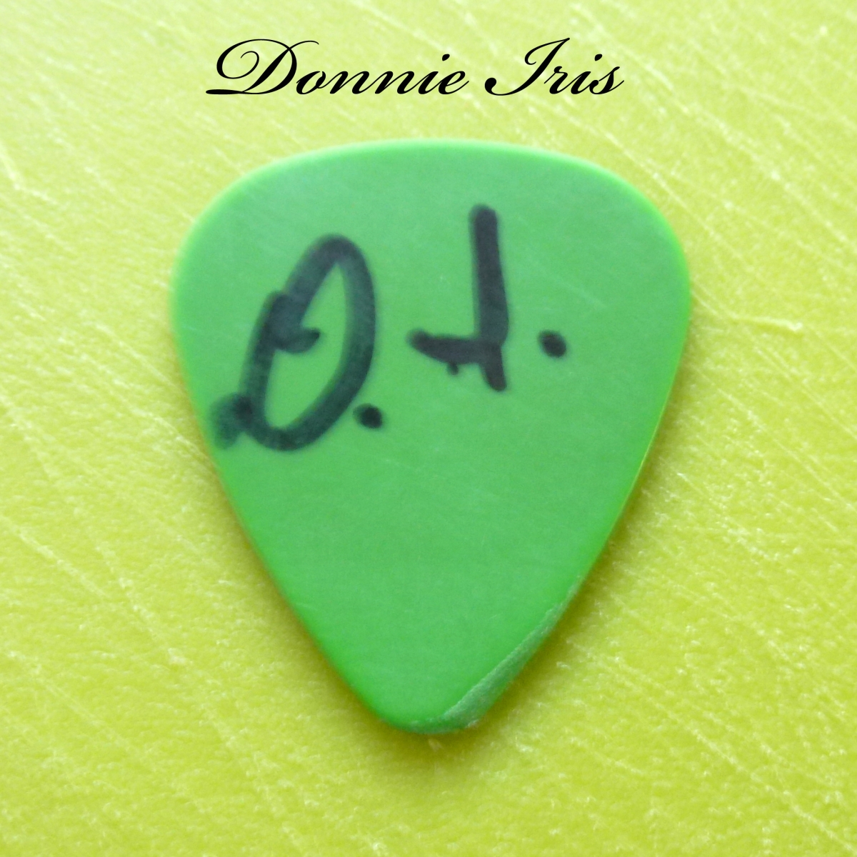 Donnie Iris