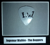 Ingemar Wallen