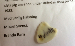Mikael Svensk