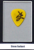 Steve Forbert